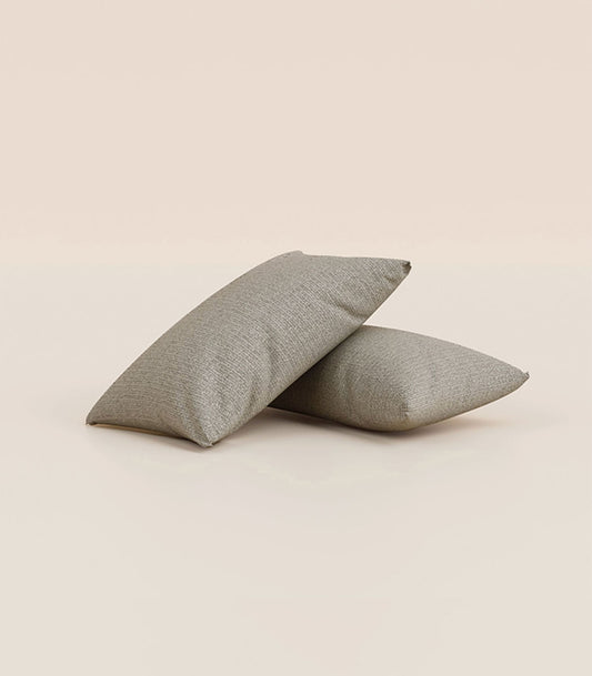 Lot de 2 coussins - Gris
