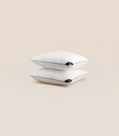 Oreiller incroyable 2 oreillers 60 x 60 cm