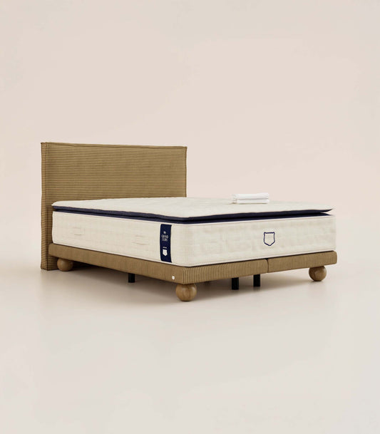 Pack Grand Ours - 180 x 200 cm