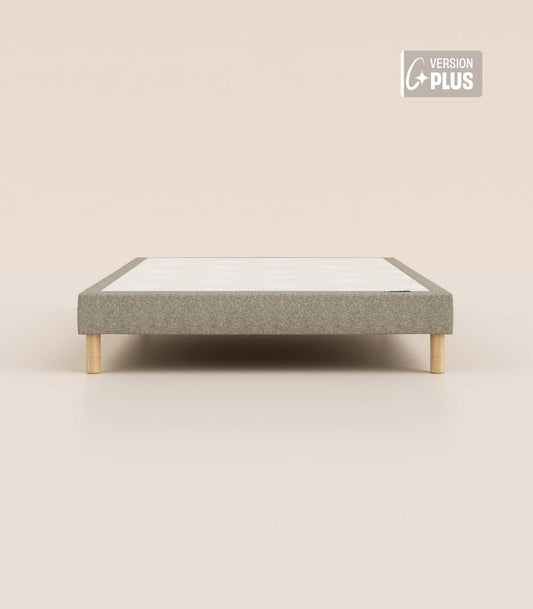 #fr#Gris|Pieds Bleus|Standard